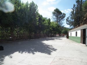 Villaverde de Guadalimar se prepara para sus fiestas en honor a San Mateo