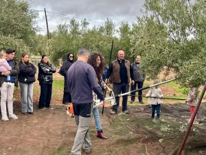 La Sierra de Alcaraz avanza en sus Jornadas de Almazaras con una visita a la cooperativa de Povedilla