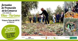 La Sierra de Alcaraz se convierte en epicentro del oleoturismo con las Jornadas de Promoción de la Comarca y la Primera Feria del AOVE en Alcaraz
