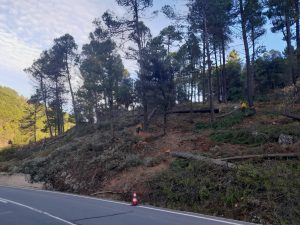 Plan INFOCAM sigue los trabajos de prevención, pero persiste la falta de recursos fuera de la campaña estival.