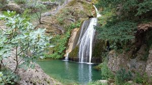 Nuestras Fuentes y Manatiales.